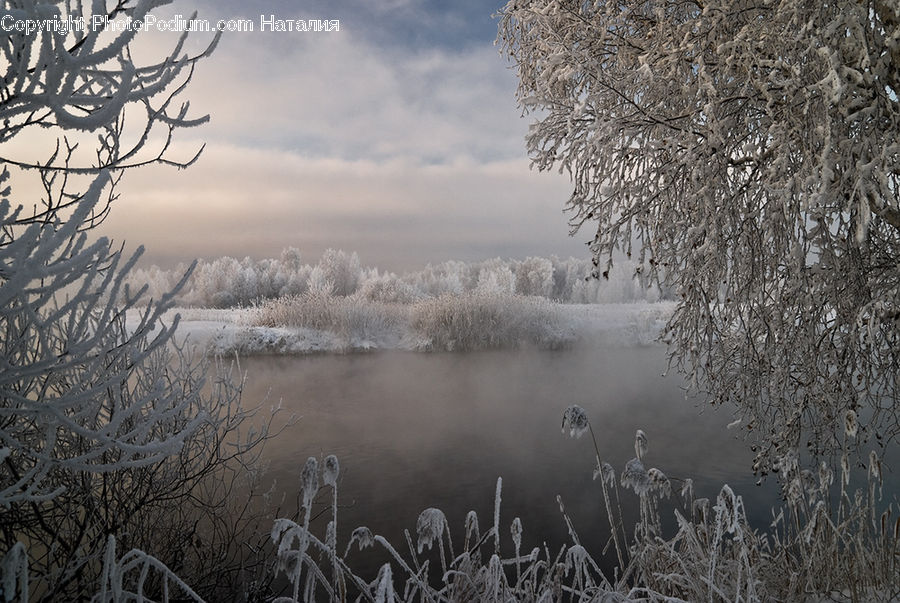 Frost, Ice, Outdoors, Snow, Field, Grass, Grassland