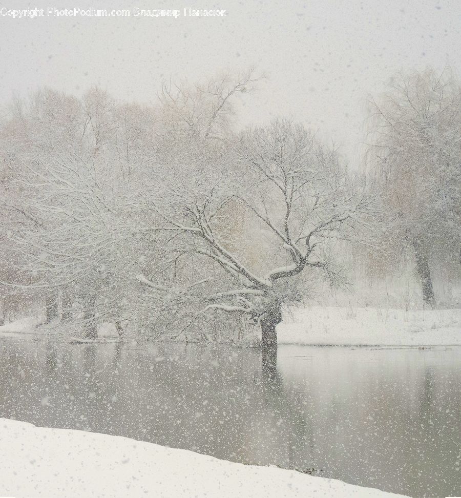 Blizzard, Outdoors, Snow, Weather, Winter