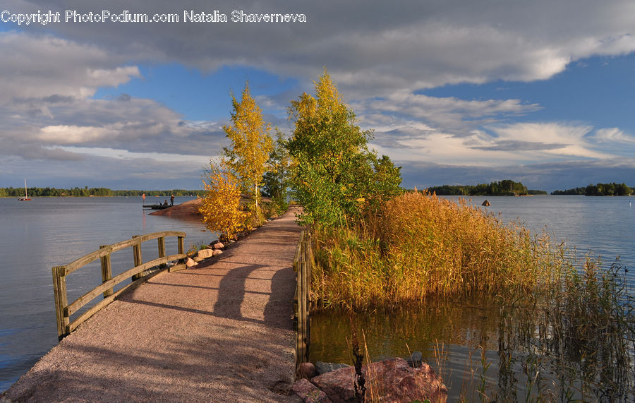 Boardwalk, Deck, Path, Sidewalk, Walkway, Railing, Dock
