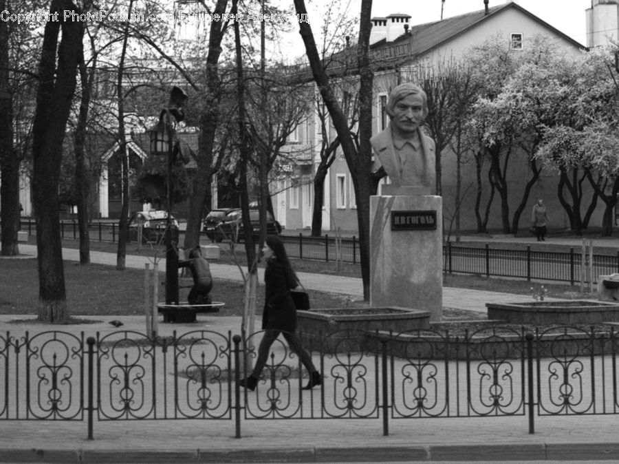 People, Person, Human, Plant, Tree, Downtown, Neighborhood