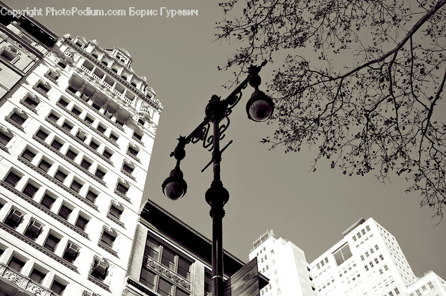 Apartment Building, Building, High Rise, Housing, City, Downtown, Urban