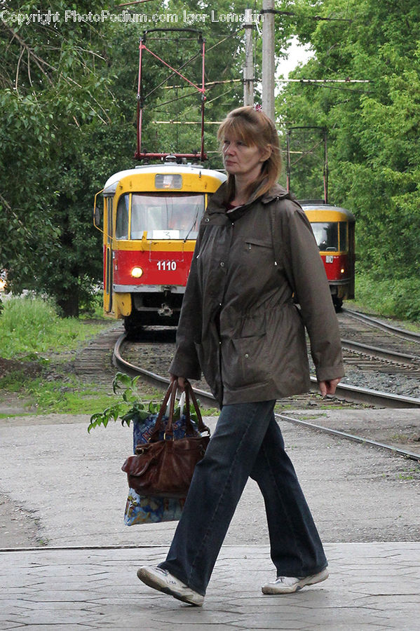 People, Person, Human, Train, Vehicle, Plant, Potted Plant