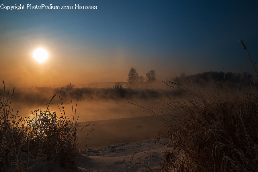 Dawn, Dusk, Sky, Sunrise, Sunset, Grass, Plant
