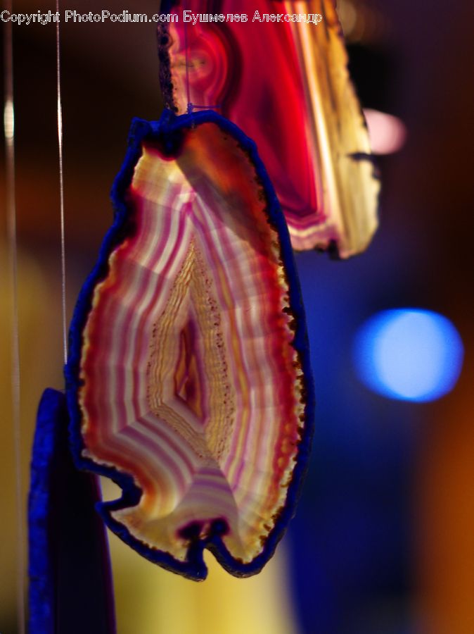 People, Person, Human, Figurine, Conch, Invertebrate, Sea Life