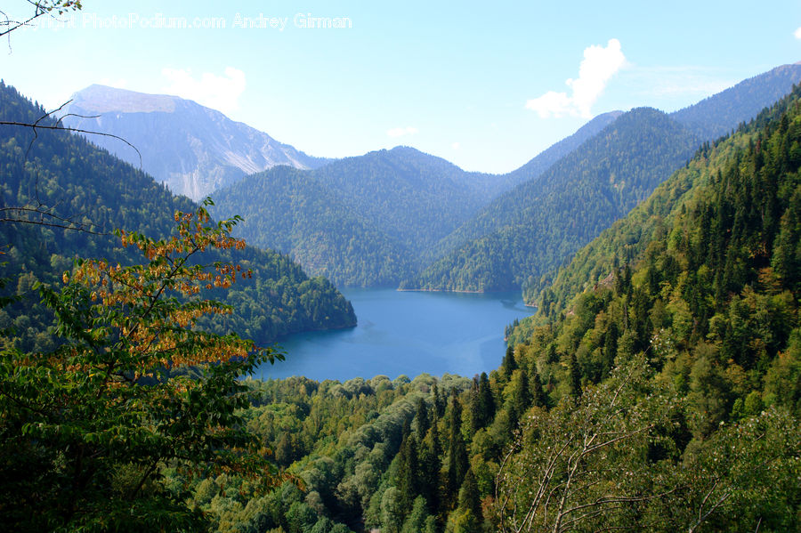 Mountain, Outdoors, Valley, Nature, Forest, Vegetation, Conifer