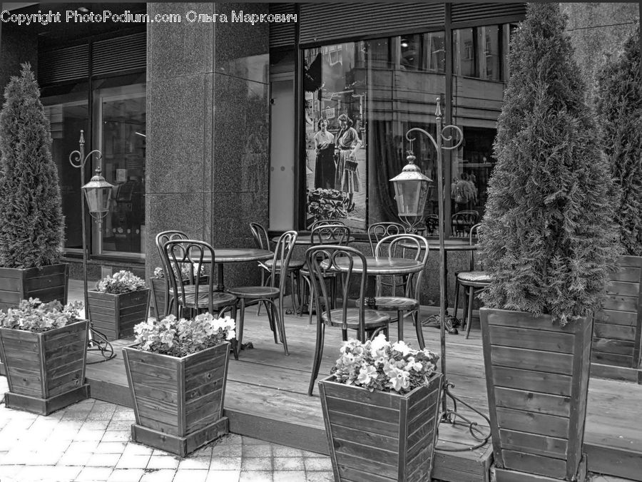 Chair, Furniture, Deck, Housing, Porch, Plant, Potted Plant