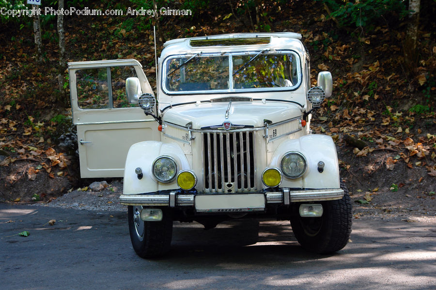 Car, Jeep, Vehicle, Van, Buggy, Golf Cart, Backyard