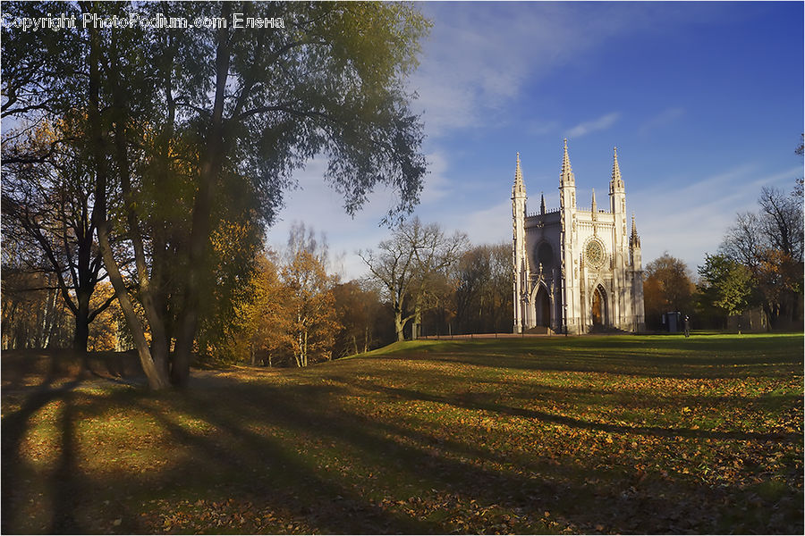 Campus, Park, Field, Grass, Grassland, Plant, Dirt Road