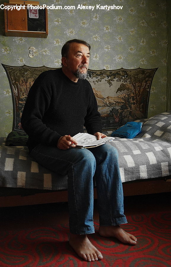 People, Person, Human, Couch, Furniture, Plant, Potted Plant