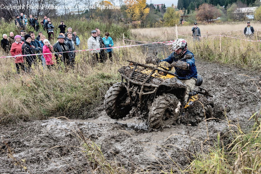 Atv, Outdoors, Crowd, Blossom, Flora, Flower, Plant