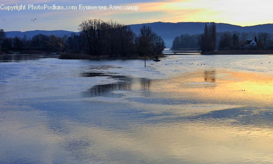 Flood, Dawn, Dusk, Sky, Sunrise, Sunset, Forest