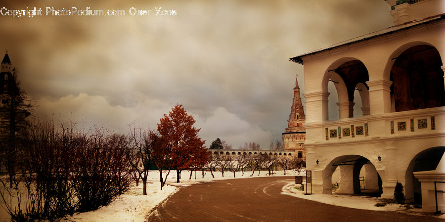 Arch, Plant, Tree, Architecture, Bell Tower, Clock Tower, Tower