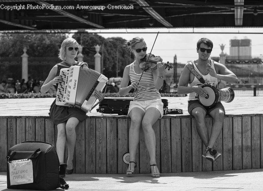 People, Person, Human, Accordion, Musical Instrument, Fiddle, Viola