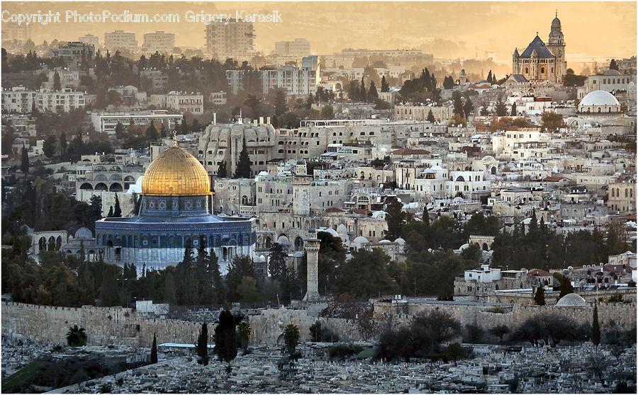 Architecture, Dome, Mosque, Worship, City, Downtown, Cathedral