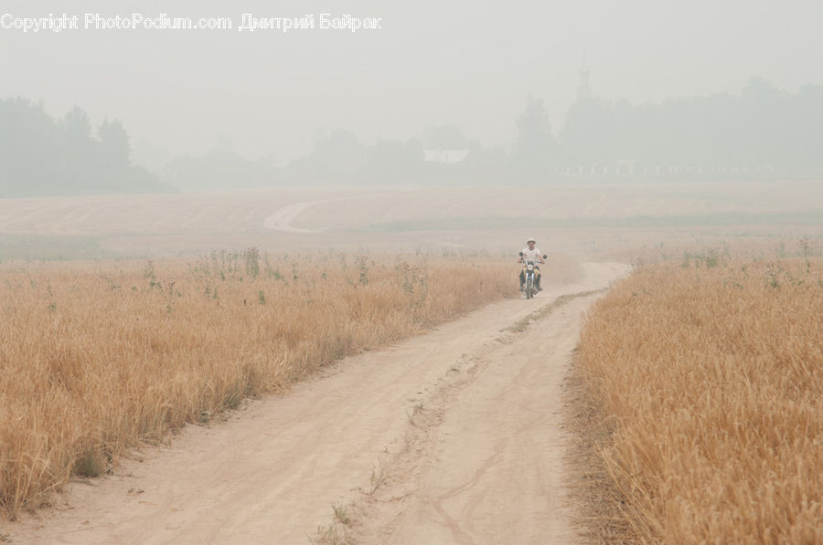 Dirt Road, Gravel, Road, Landscape, Nature, Scenery, Field