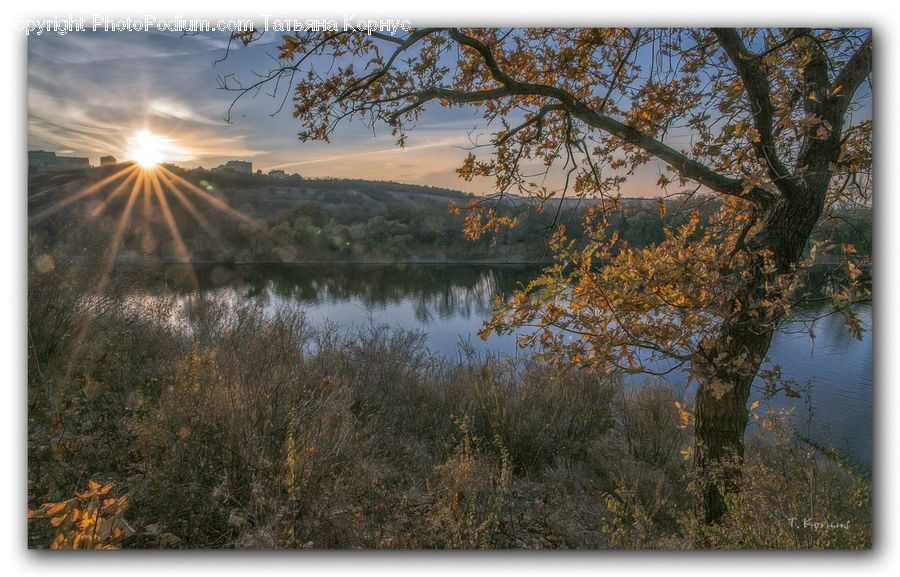 Dawn, Dusk, Sky, Sunrise, Sunset, Outdoors, Pond