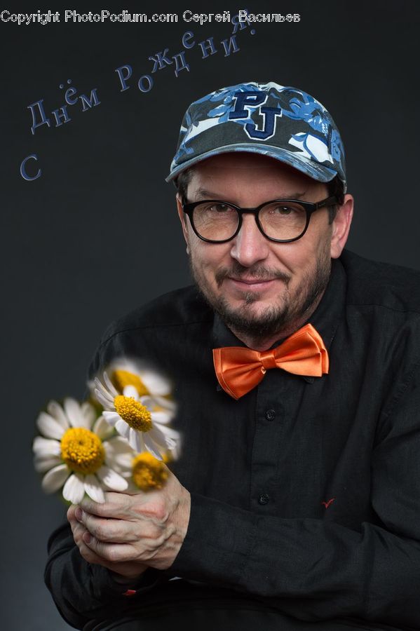 People, Person, Human, Daisies, Daisy, Flower, Plant