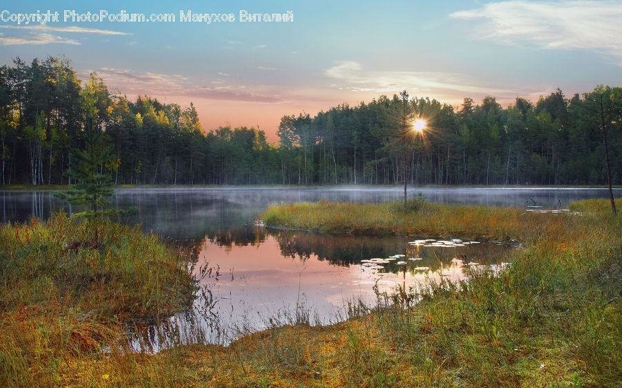 Land, Marsh, Outdoors, Swamp, Water, Pond, Lake
