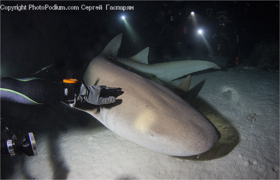 Footwear, Shoe, Diver, Diving, Person, Water, Night Club