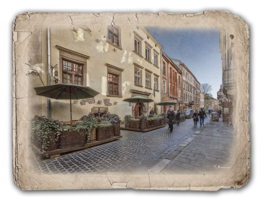 Plant, Potted Plant, Ivy, Vine, Architecture, Housing, Monastery