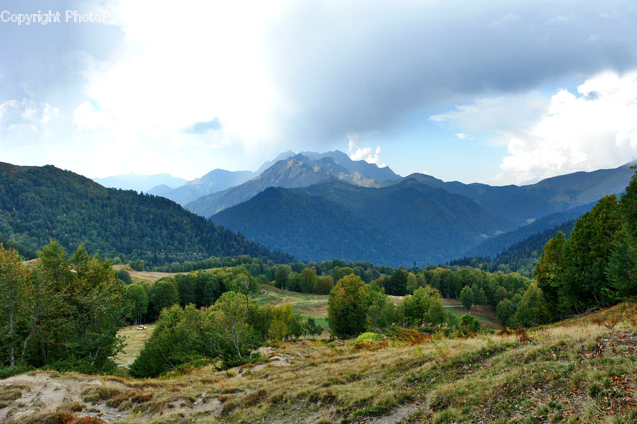 Crest, Mountain, Outdoors, Peak, Wilderness, Field, Grass