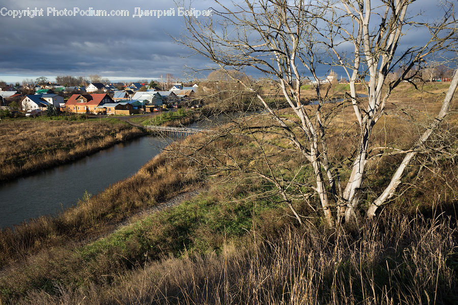 Field, Grass, Grassland, Plant, Ditch, Land, Outdoors