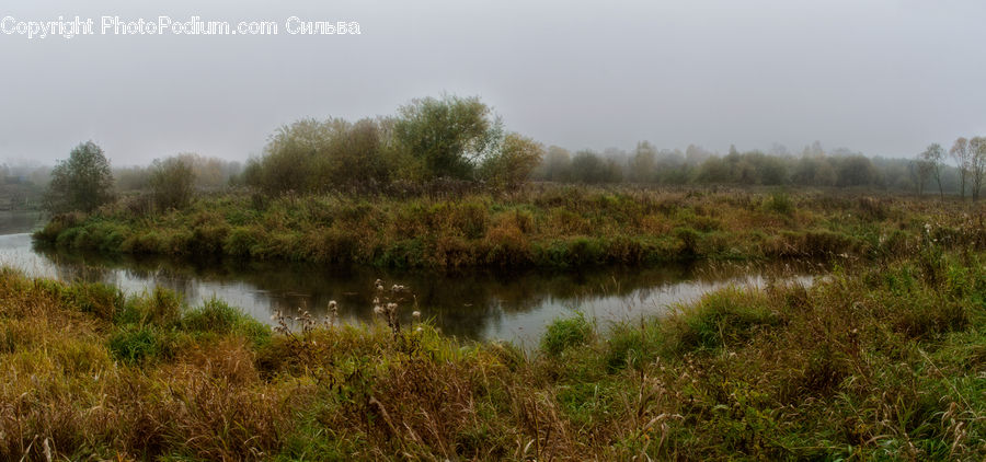 Land, Marsh, Outdoors, Swamp, Water, Pond, Field