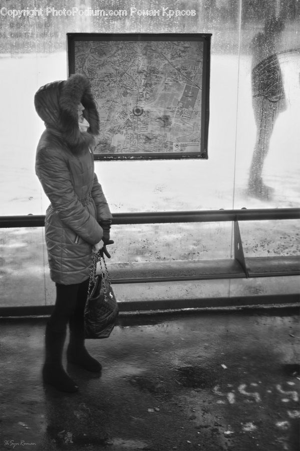 Human, People, Person, Back, Portrait