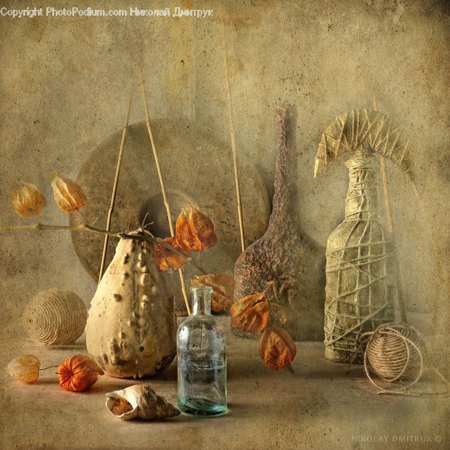 Spiral, Glass, Goblet, Agaric, Amanita, Fungus, Mushroom