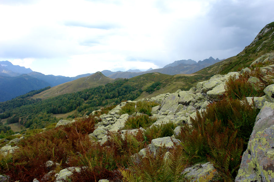 Crest, Mountain, Outdoors, Peak, Field, Grass, Grassland
