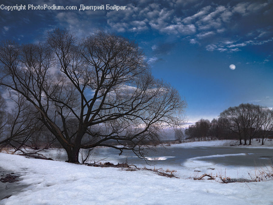 Landscape, Nature, Scenery, Forest, Vegetation, Ice, Outdoors