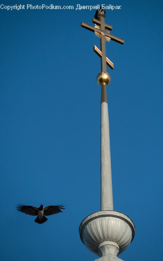 Cross, Bird, Blackbird, Crow, Column, Pillar, Architecture