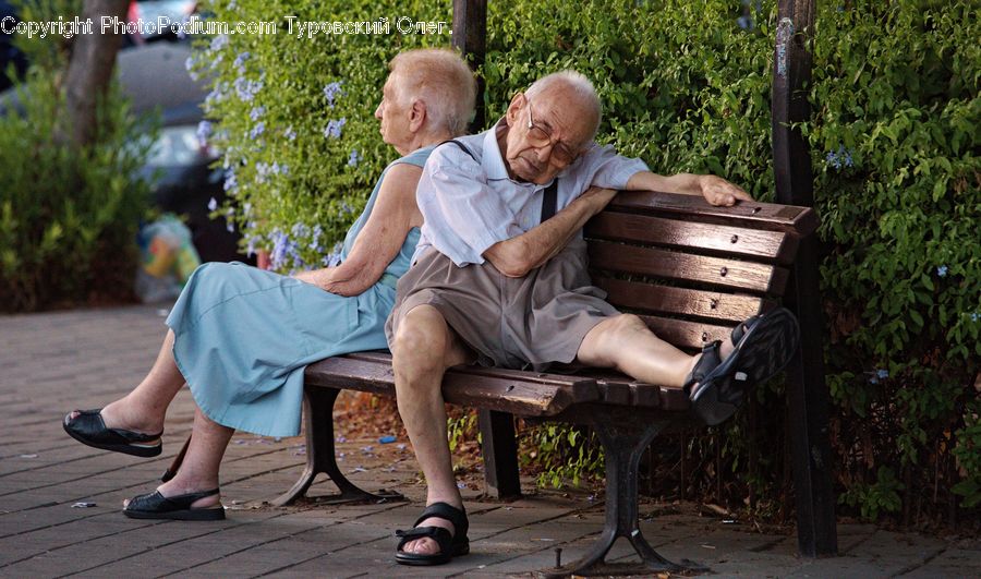 People, Person, Human, Park Bench, Plant, Potted Plant, Bench