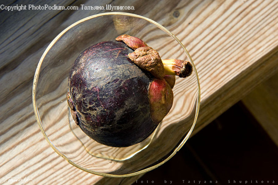 Acorn, Plant, Seed, Garlic, Food