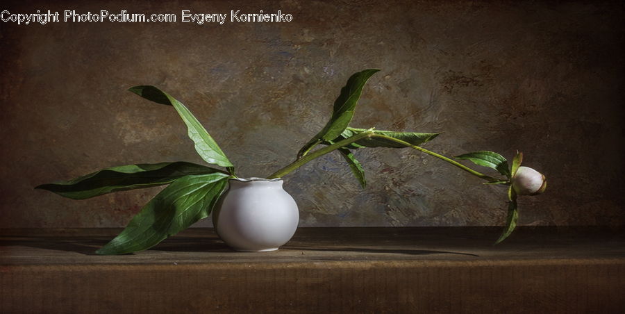 Flower Arrangement, Ikebana, Plant, Potted Plant, Vase, Garlic, Acanthaceae