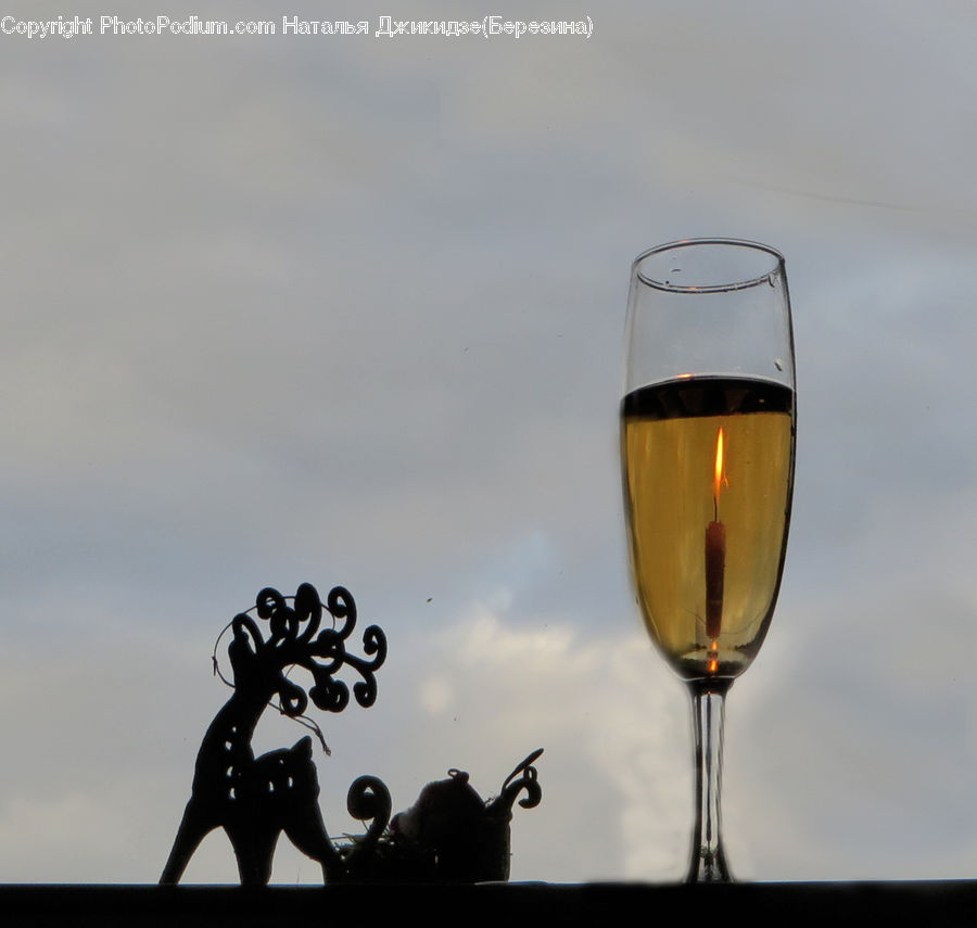 Glass, Plant, Potted Plant, Silhouette, Alcohol, Beverage, Wine