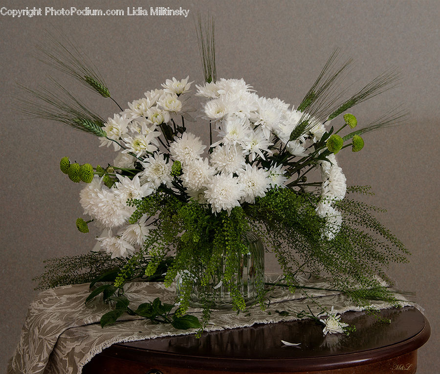 Floral Design, Flower, Flower Arrangement, Flower Bouquet, Ikebana, Plant, Potted Plant