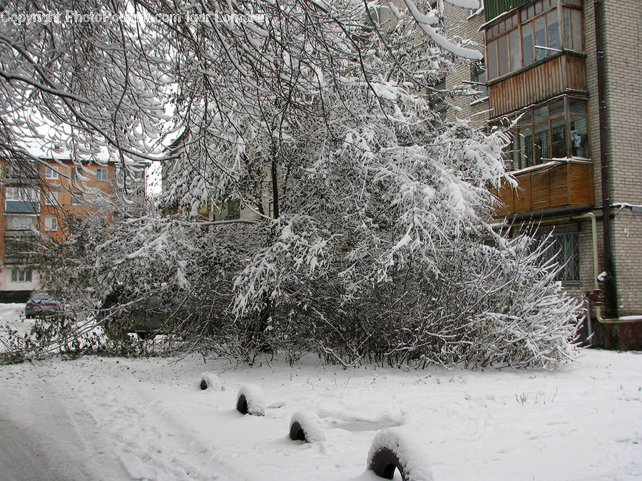 Ice, Outdoors, Snow, Downtown, Neighborhood, Town, Building