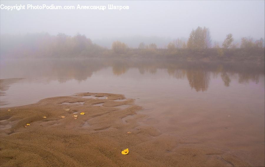 Flood, Outdoors, River, Water, Land, Marsh, Pond