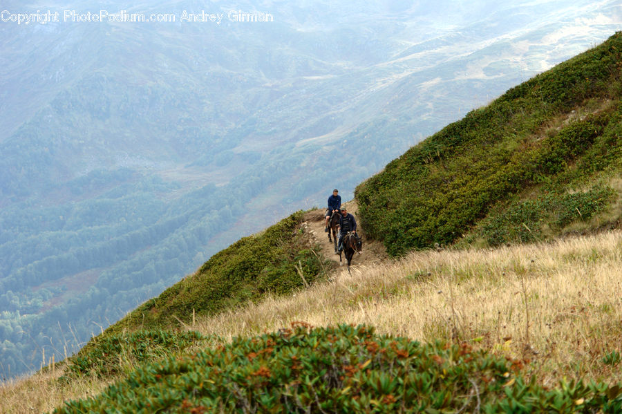 Hiking, Leisure Activities, Outdoors, Crest, Mountain, Peak, Dirt Road