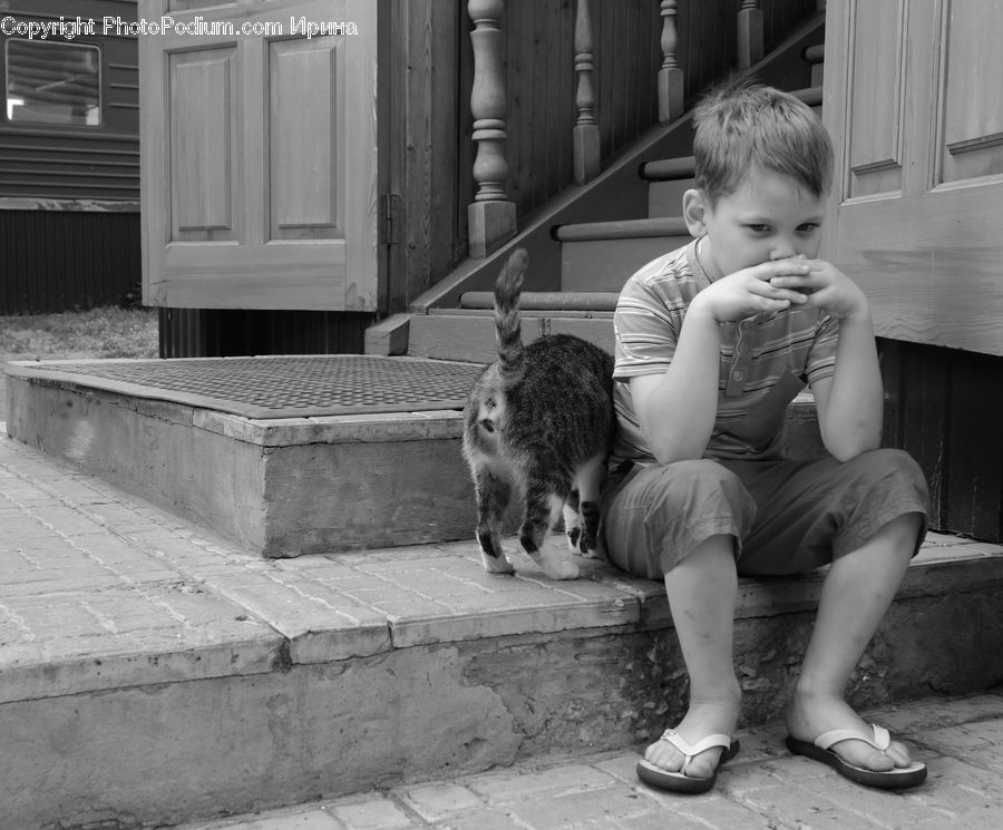 People, Person, Human, Adorable, Chair, Furniture, Animal