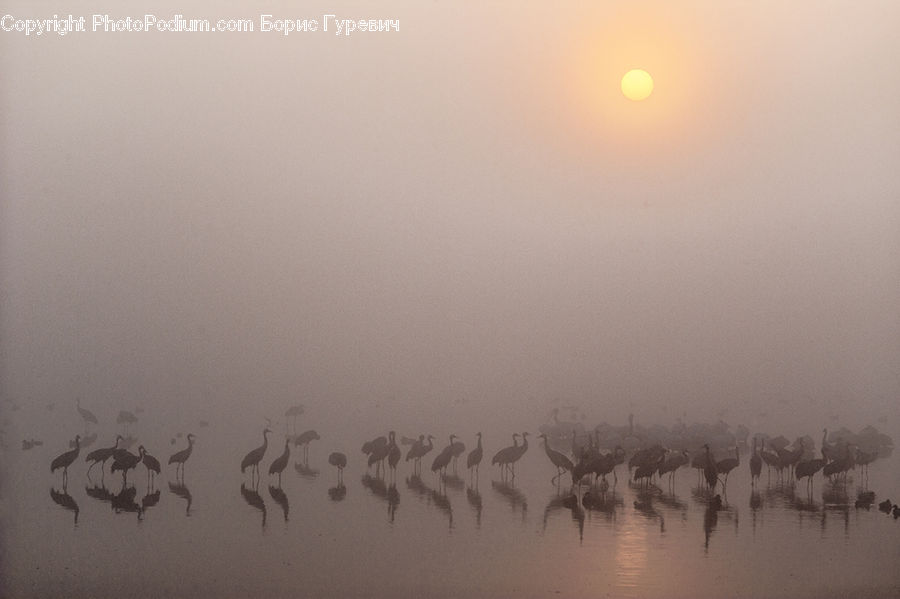 Stencil, Fog