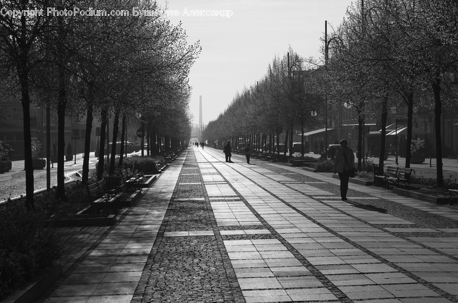 Boardwalk, Path, Pavement, Sidewalk, Walkway, Dock, Landing