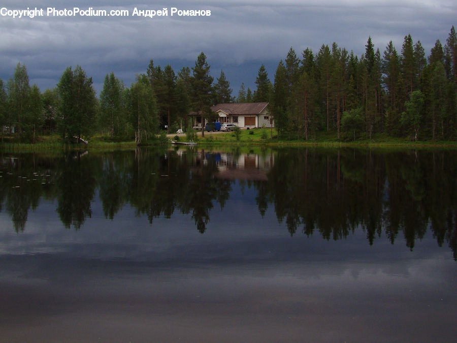 Lake, Outdoors, Water, Pond, Conifer, Fir, Plant