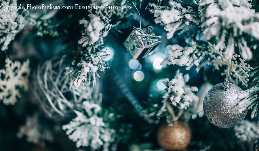 Frost, Ice, Outdoors, Snow, Coral Reef, Reef, Sea
