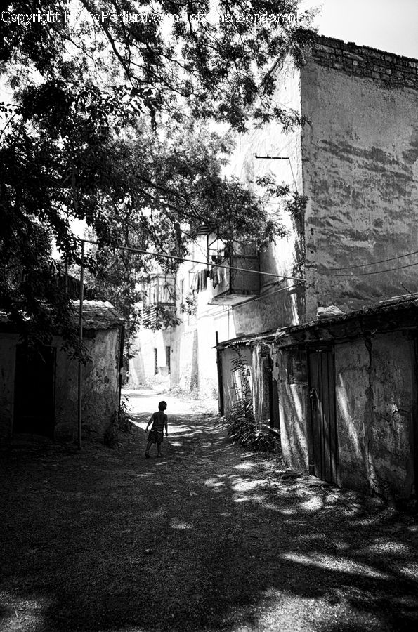 Alley, Alleyway, Road, Street, Town, Plant, Tree