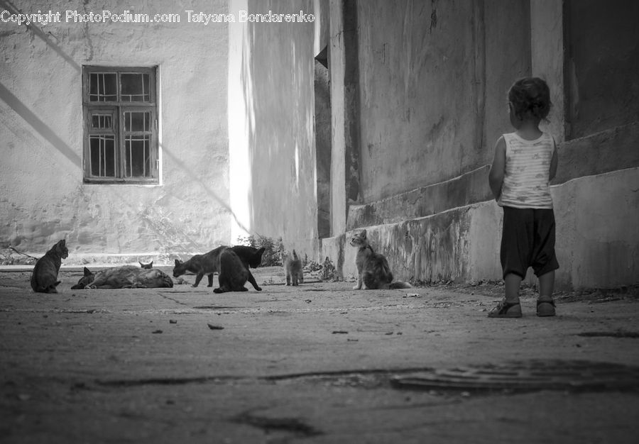 Human, People, Person, Shorts, Alley, Alleyway, Road