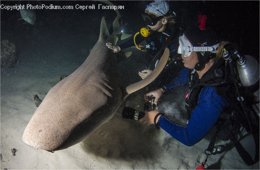 People, Person, Human, Diver, Diving, Water, Sport