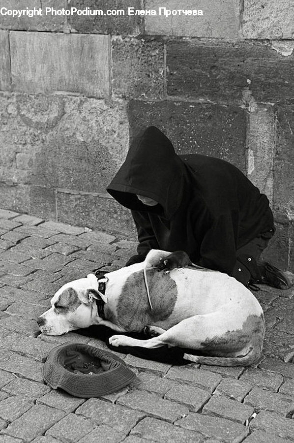 People, Person, Human