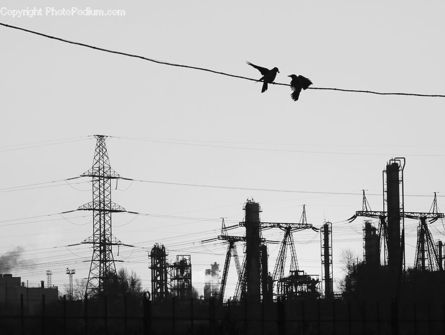 Constriction Crane, Silhouette, Construction